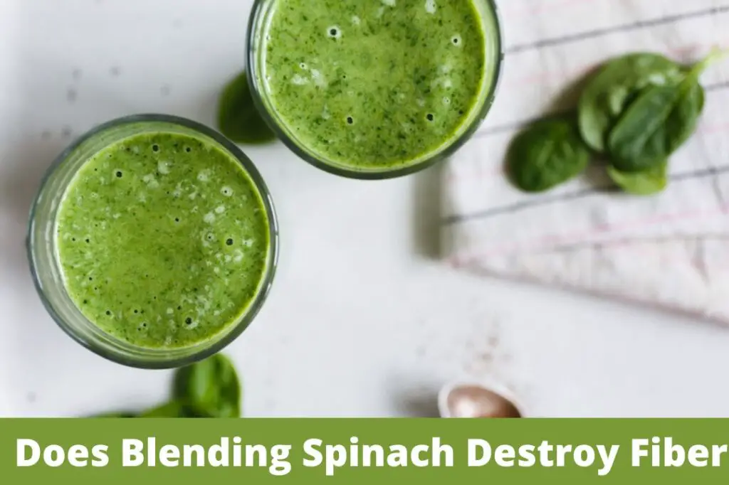 Does Blending Spinach Destroy Fiber